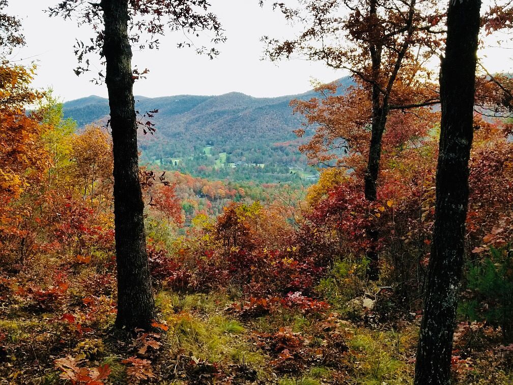 8 Windemere Dr Sapphire, NC 28774 - Thumbnail 5