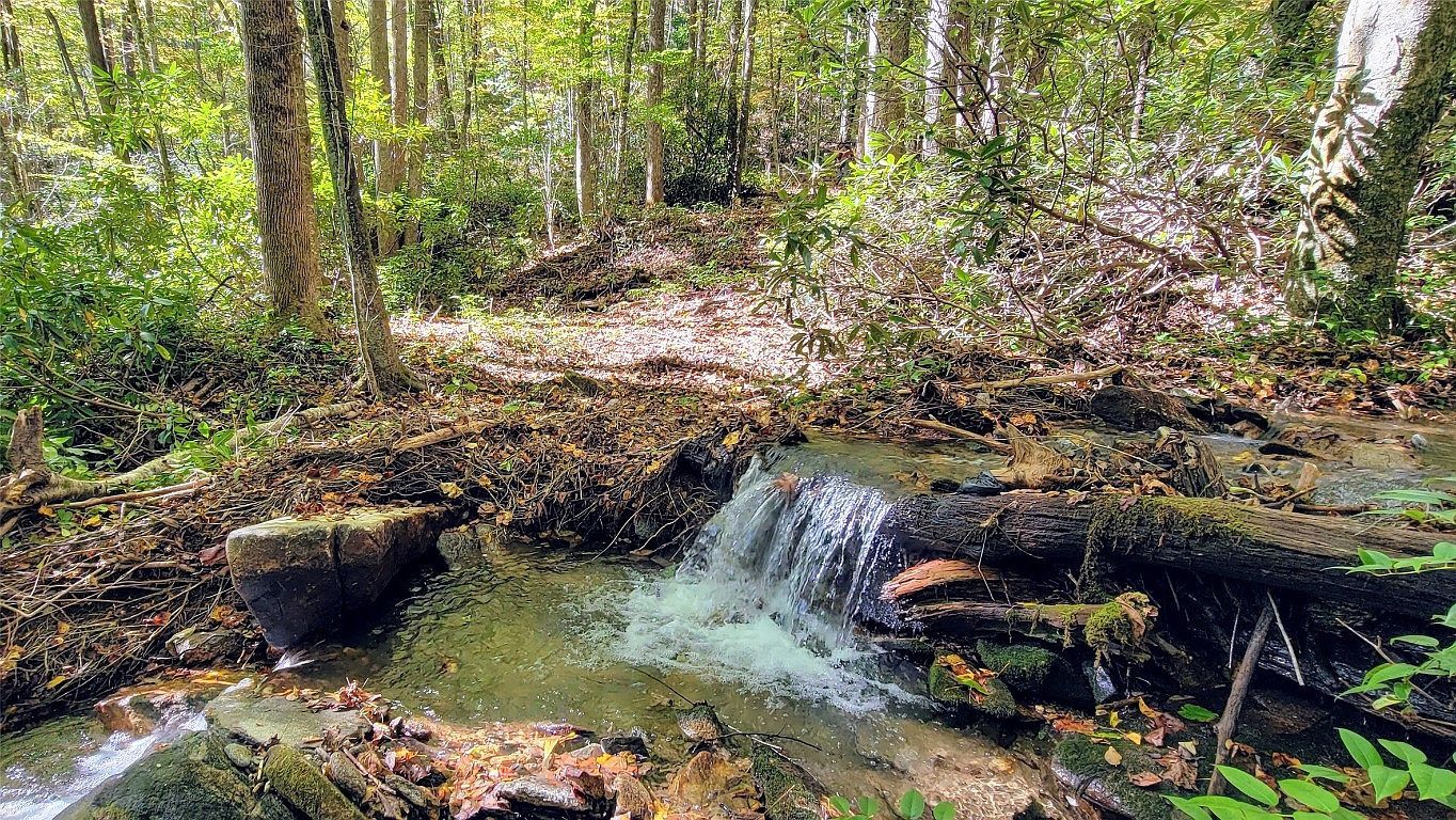 21 S Speckled Feather Pass Sapphire, NC 28774 - Thumbnail 5