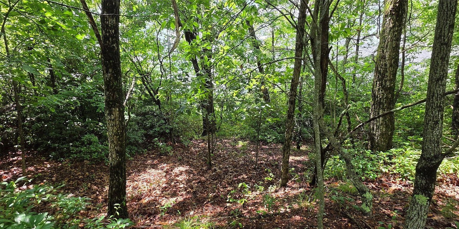 2 Eagle Ridge Rd Sapphire, NC 28774 - Thumbnail 5