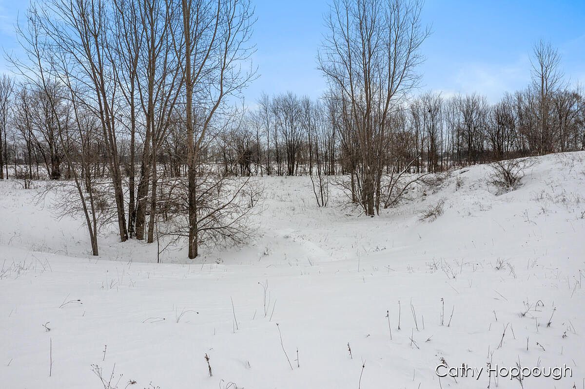 3615 S State Rd Ionia, MI 48846 - Thumbnail 5