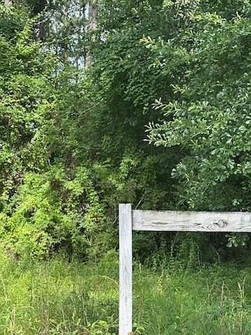 45075 Chemekette Rd, Robert, LA, 70455 - Thumbnail 5