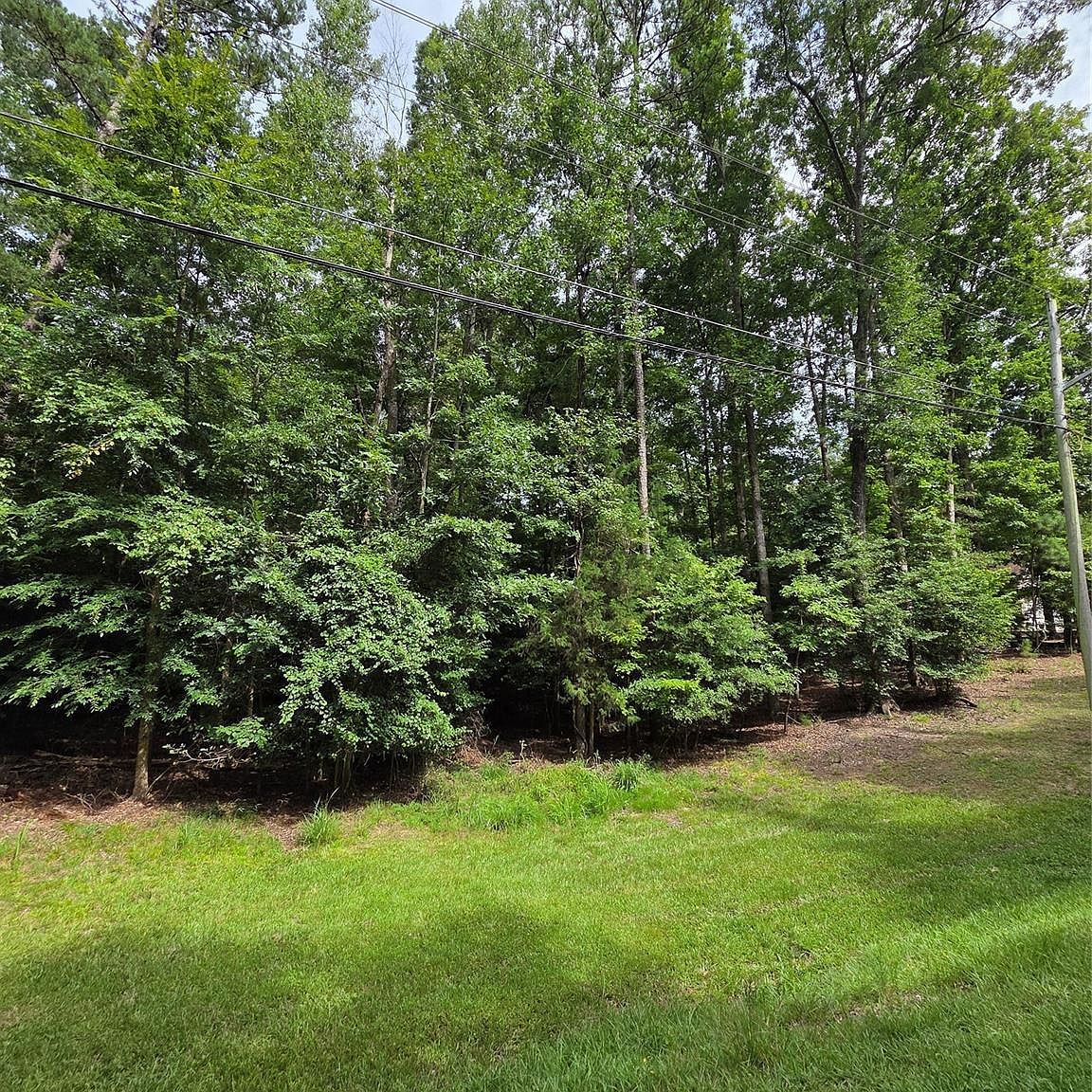 242 Creswell Rd Mount Gilead, NC 27306 - Thumbnail 5