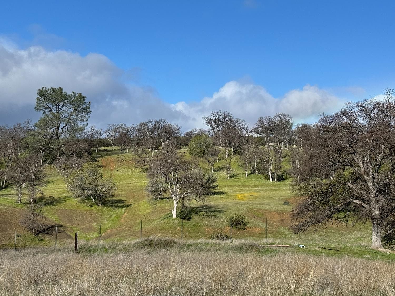 4289 Sites Lodoga Rd Stonyford, CA 95979 - Thumbnail 5