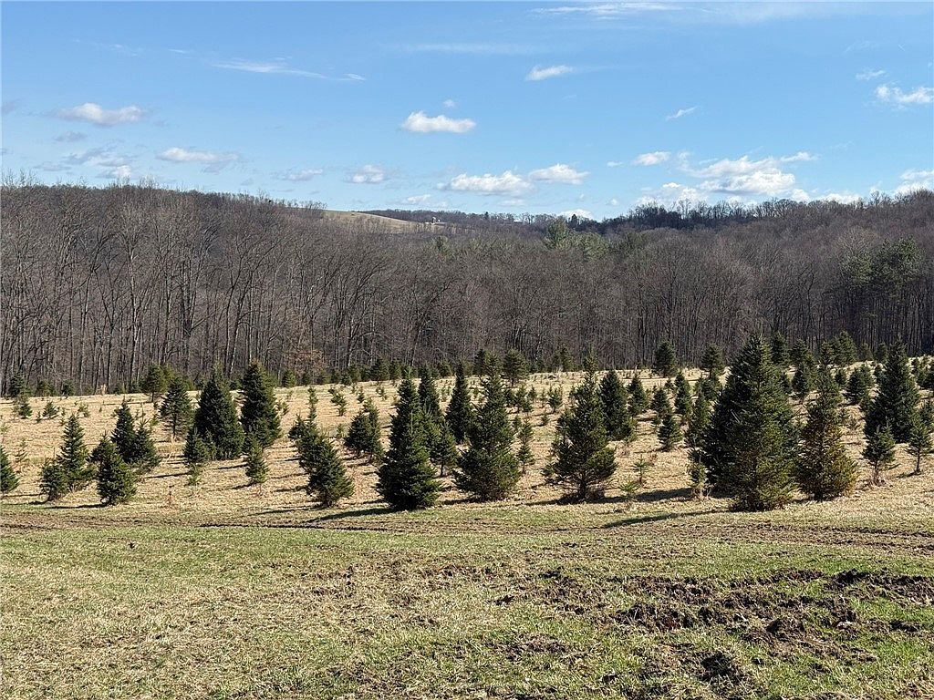 0 Prospect Rd Evans City, PA 16033 - Thumbnail 5