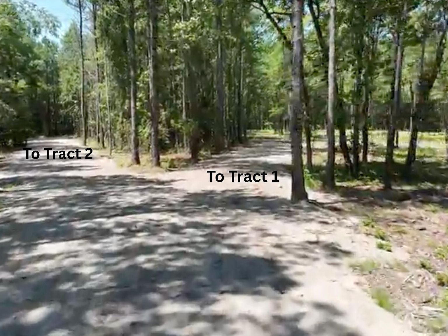 1 Cameron Hill Rd Cameron, NC 28326 - Thumbnail 5