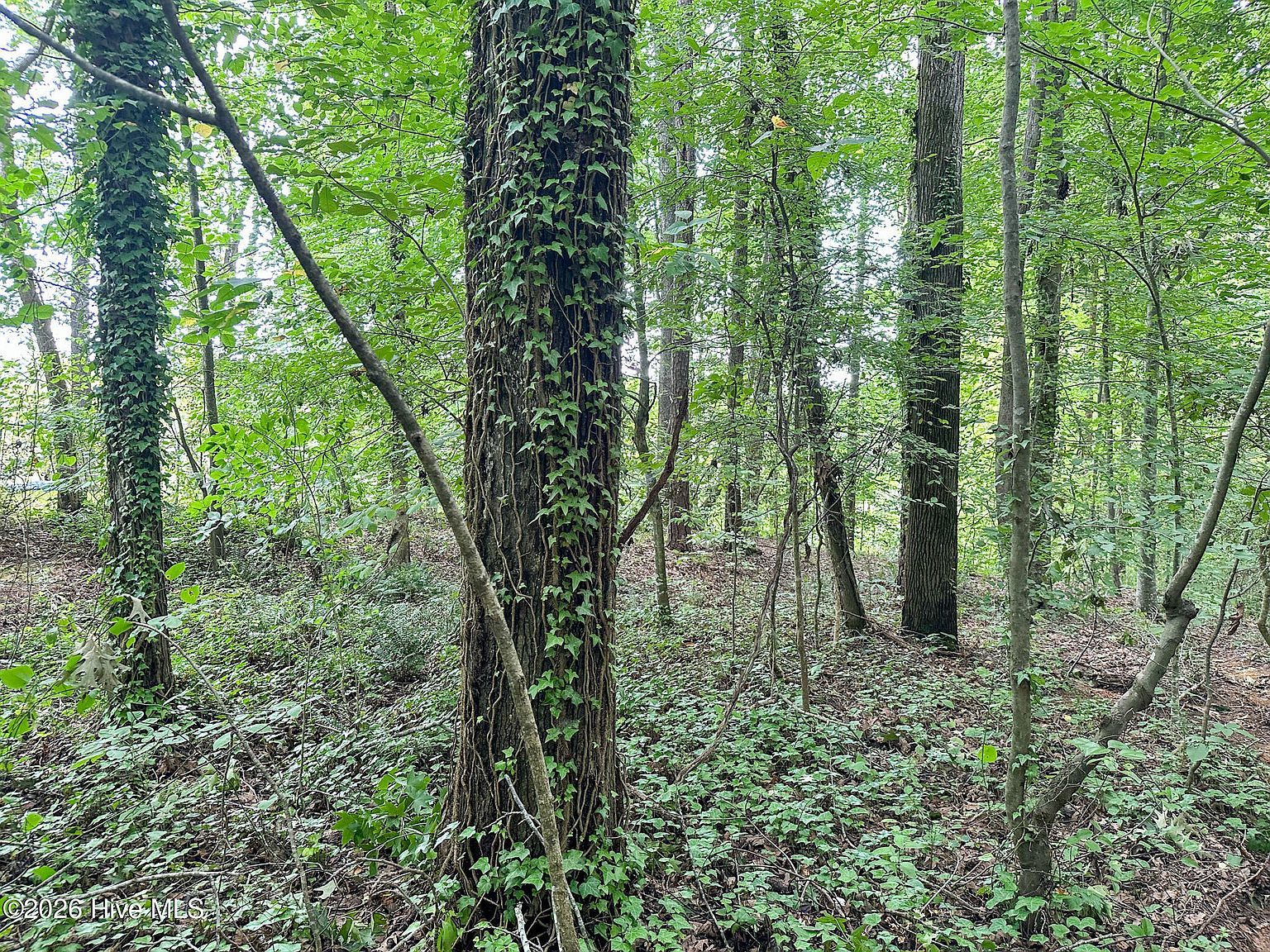 S Point Lot 80 Sanford, NC 27332 - Thumbnail 5