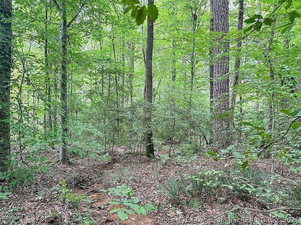 S Pointe Dr Sanford, NC 27332 - Thumbnail 5