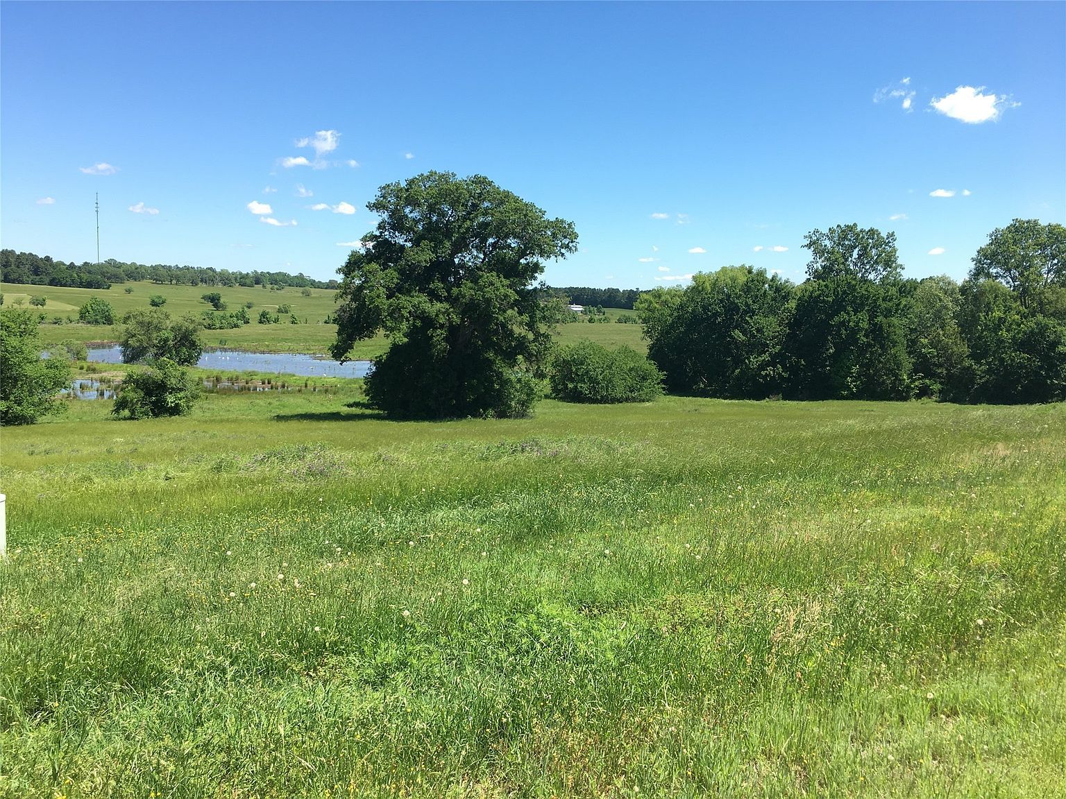 42 Shore Crest Way Athens, TX 75752 - Thumbnail 5