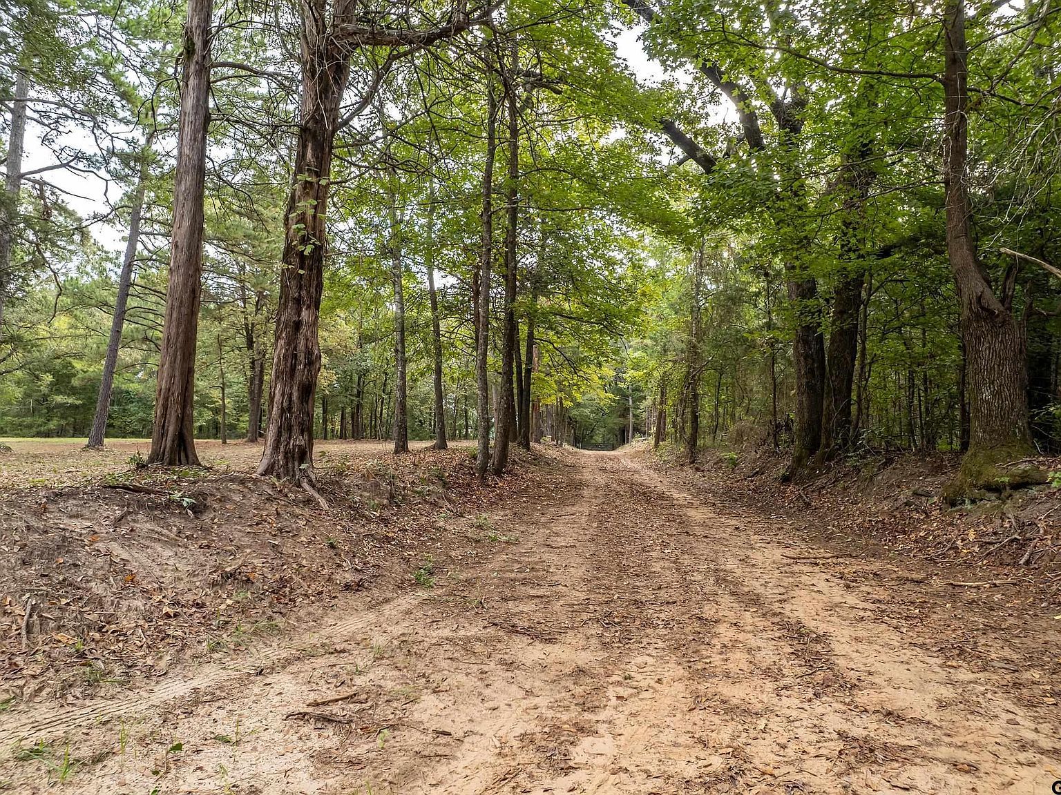 13130 County Road 4124 Lindale, TX 75771 - Thumbnail 5