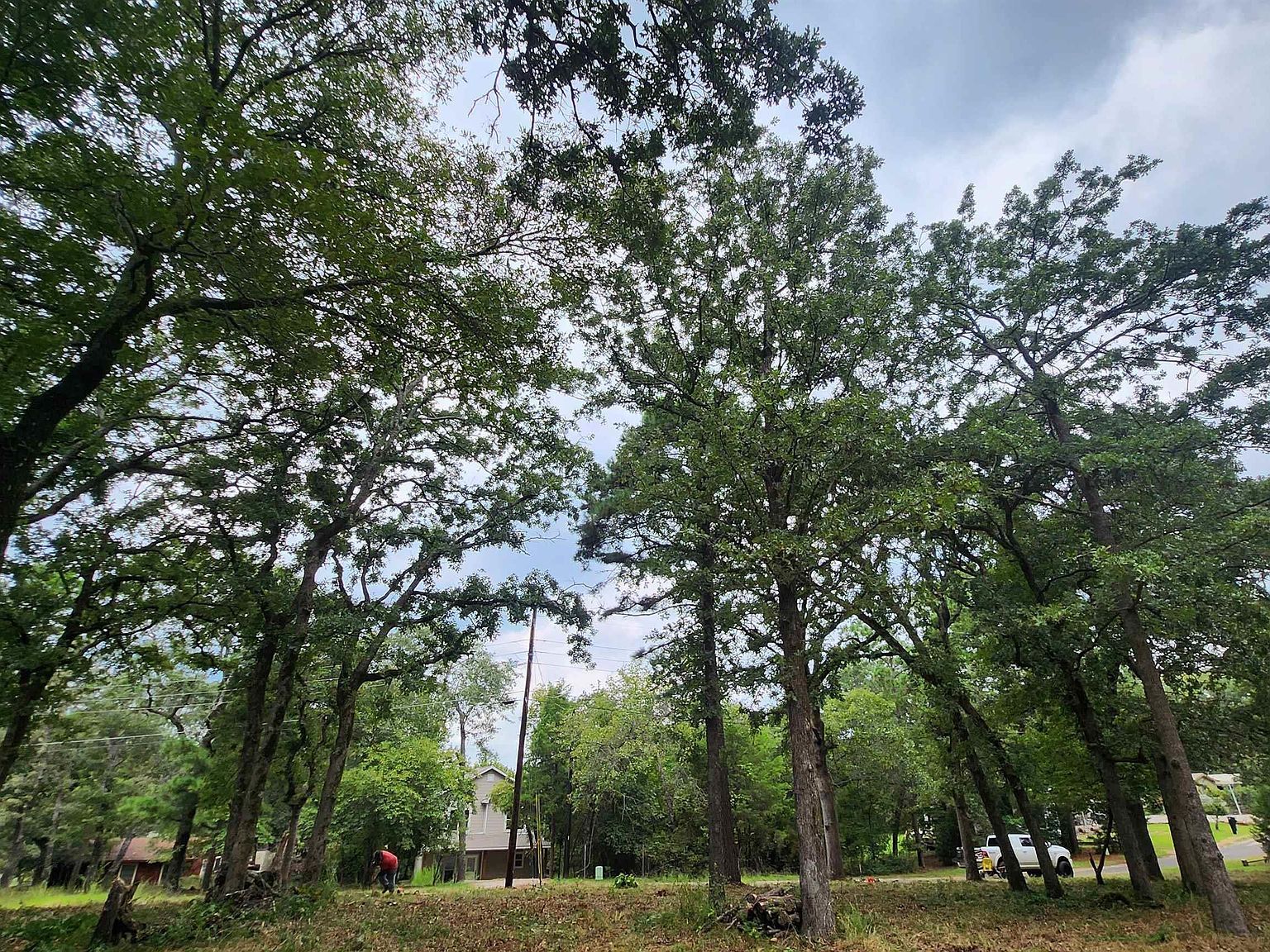 Lots 4 5 6 Holly Gln Murchison, TX 75778 - Thumbnail 5