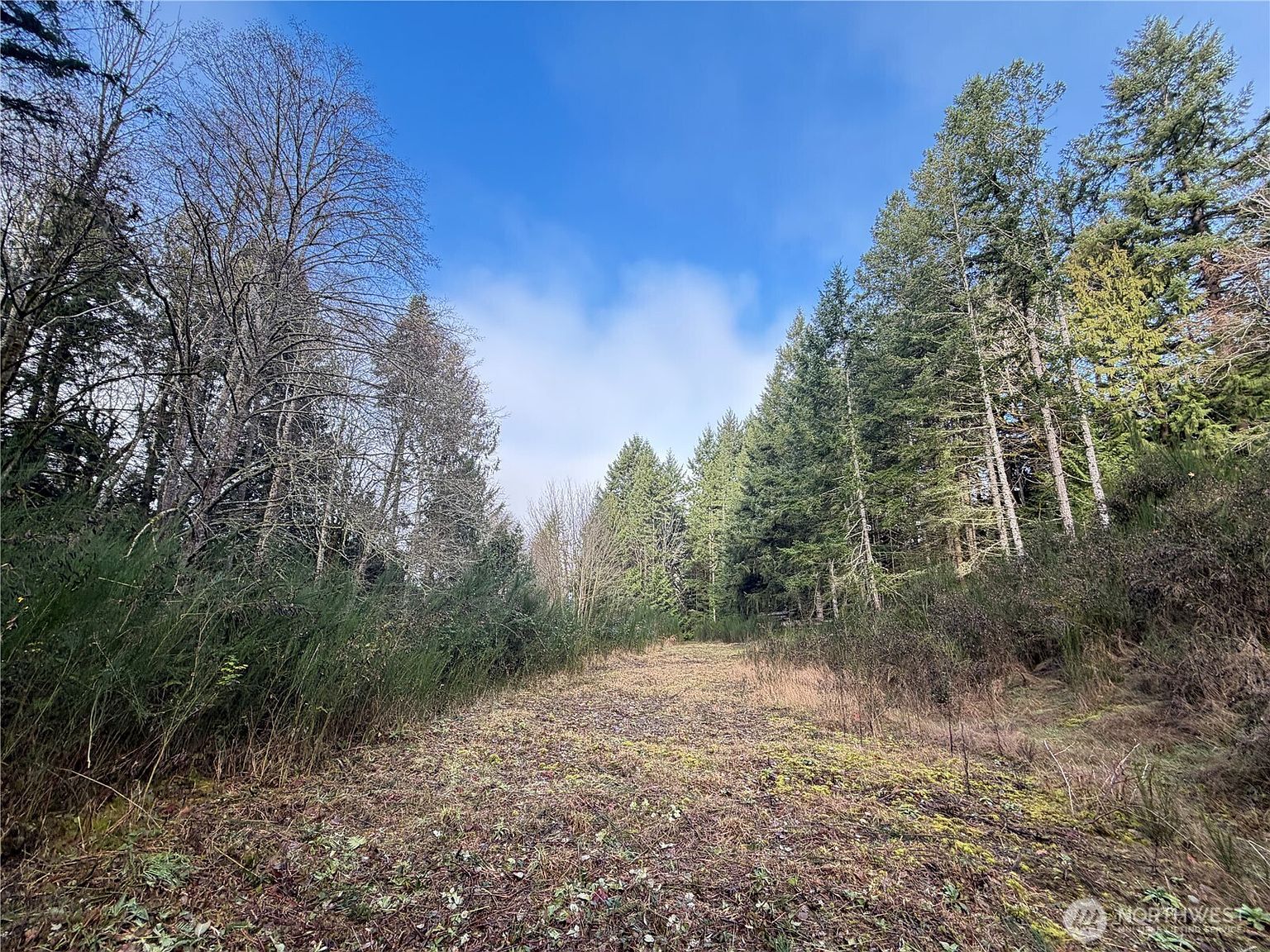 7625 NW Mountain Vista Ln Silverdale, WA 98383 - Thumbnail 5