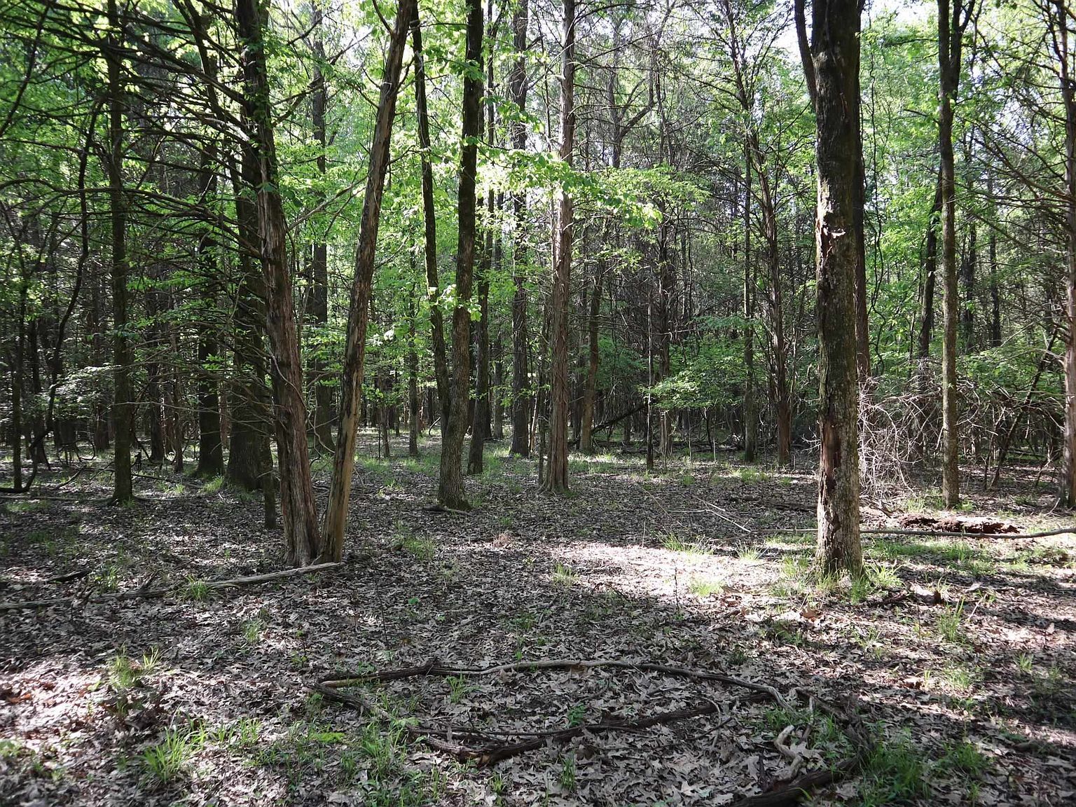 3825 Planters View Rd Memphis, TN 38133 - Thumbnail 5