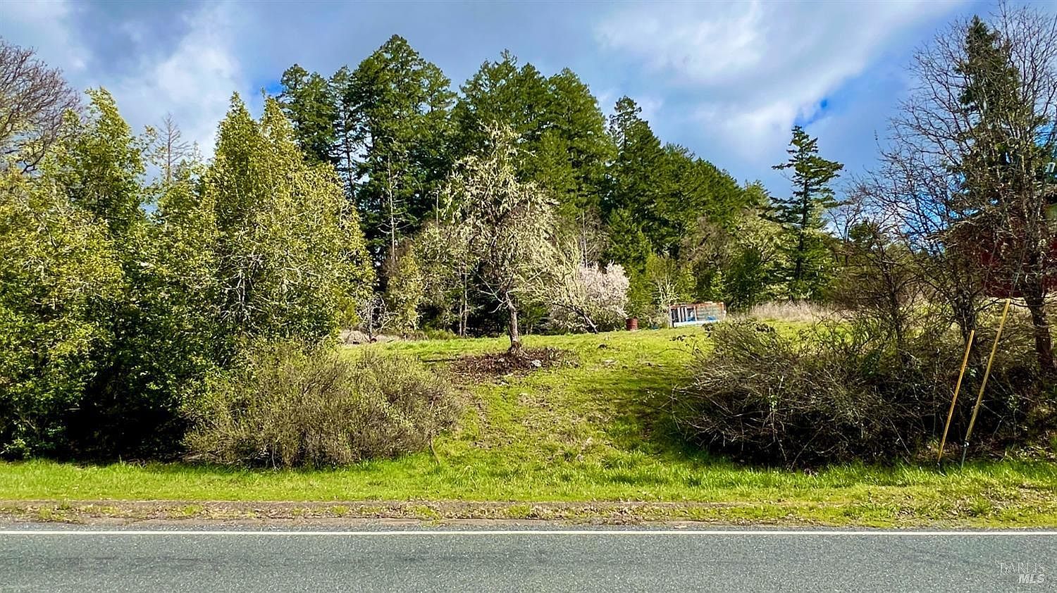 25631 Daphne Way Willits, CA 95490 - Thumbnail 5