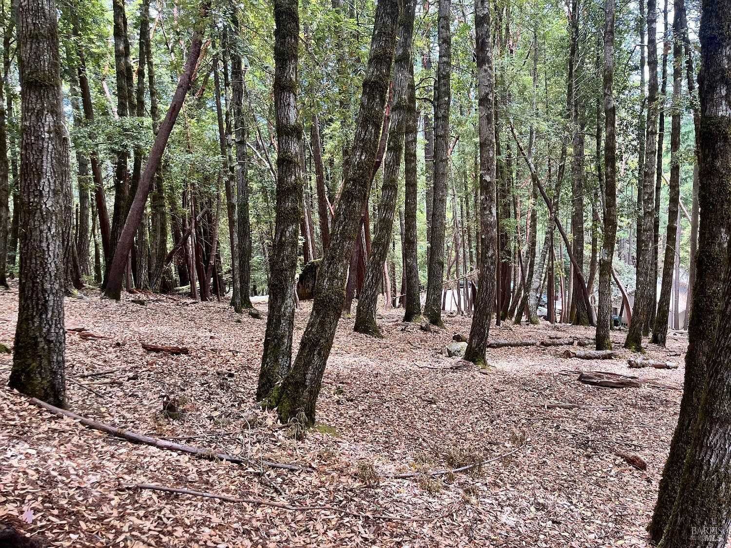 23649 Ridge Rd Willits, CA 95490 - Thumbnail 5