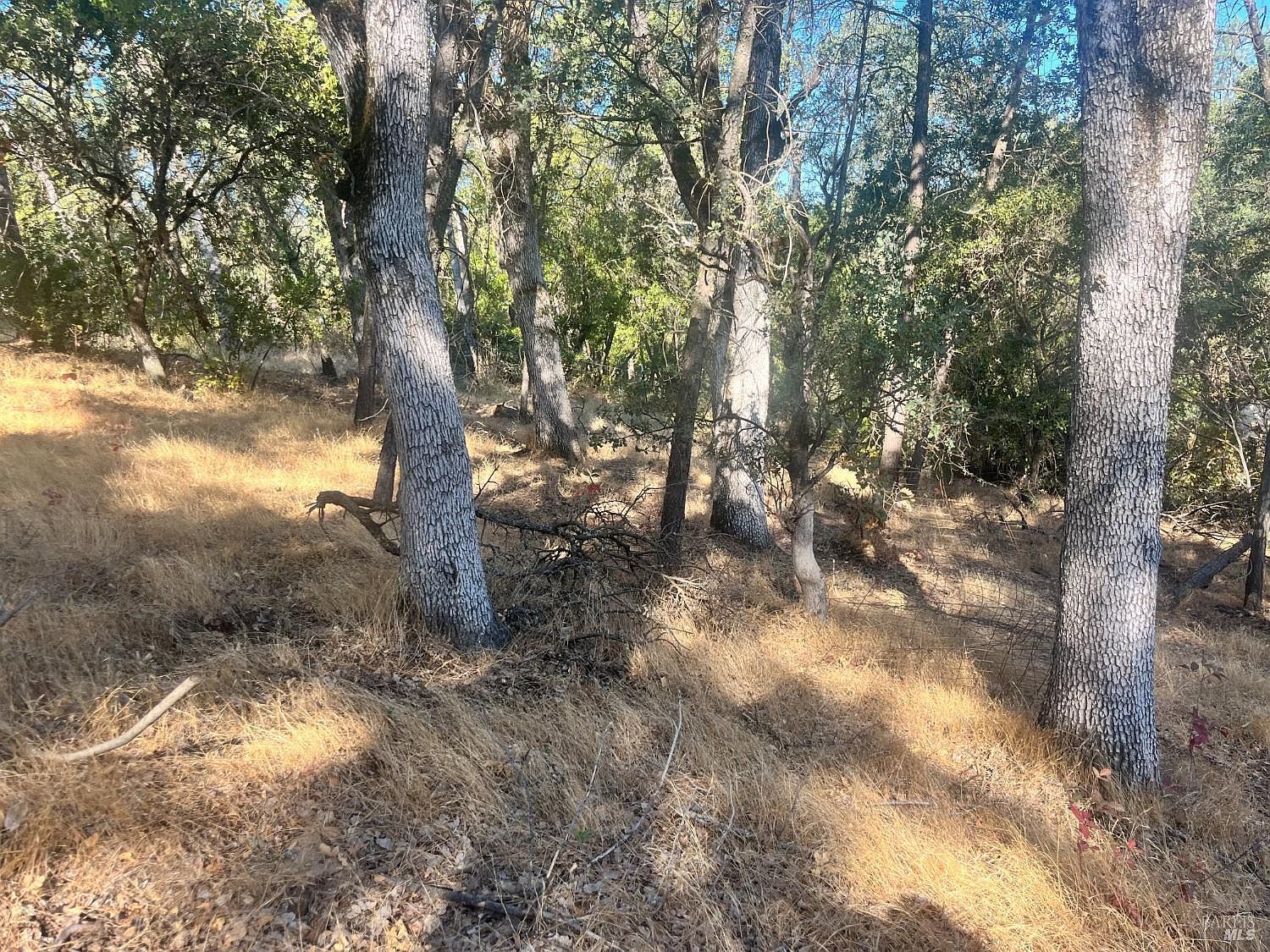 15316 Brannan St Clearlake, CA 95422 - Thumbnail 5