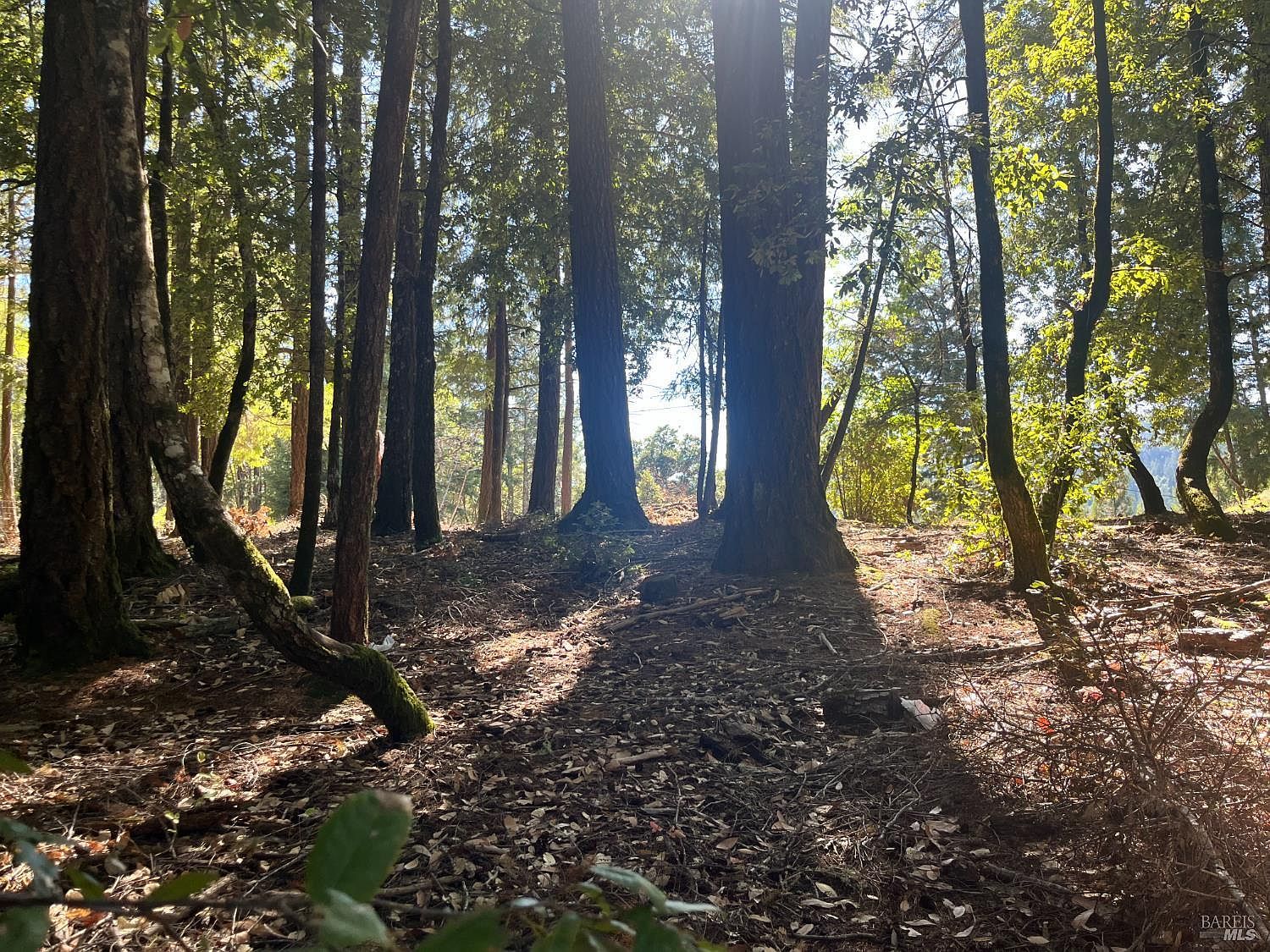 25201 Sherwood Rd Willits, CA 95490 - Thumbnail 5