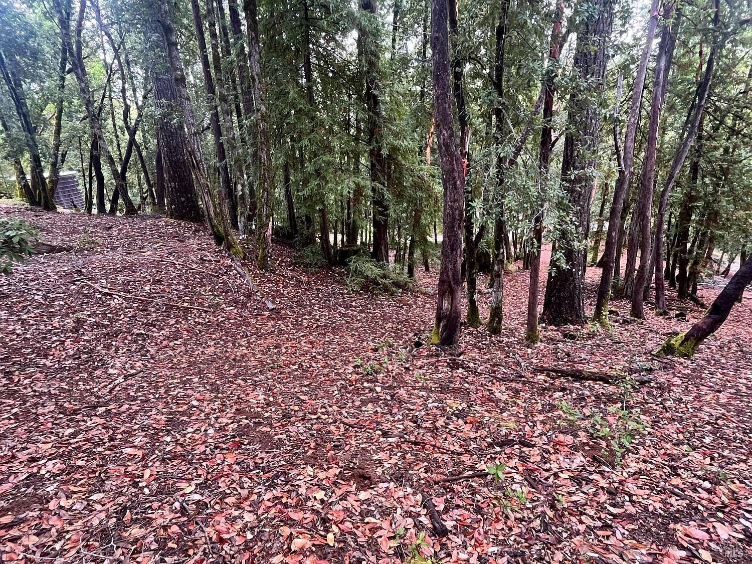 1817 Clover Dr Willits, CA 95490 - Thumbnail 5