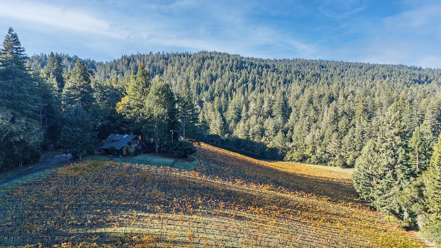 7680 Highway 128 Philo, CA 95466 - Thumbnail 5