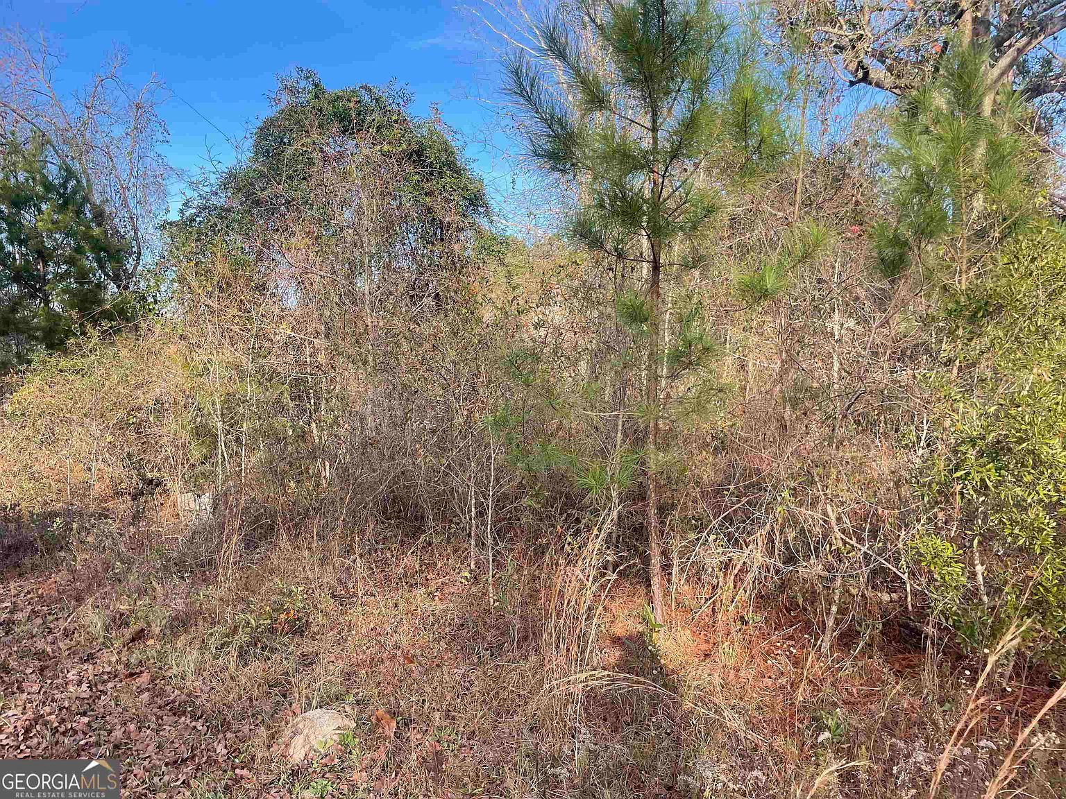 0 Mount Olive Way Soperton, GA 30457 - Thumbnail 5