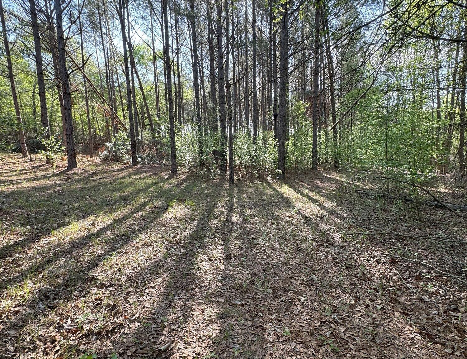 0 Middleground Rd Louisville, GA 30434 - Thumbnail 5