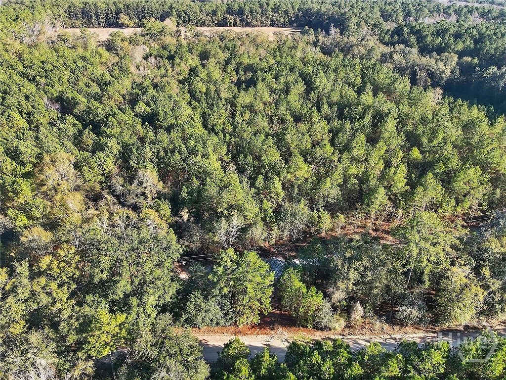 0 Beautiful Zion Cemetery Rd Pembroke, GA 31321 - Thumbnail 5