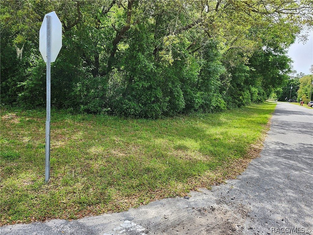 1640 W Lorraine Dr Citrus Springs, FL 34434 - Thumbnail 5