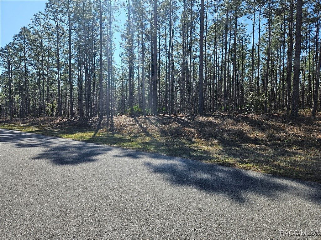 1148 W Galgano St Citrus Springs, FL 34434 - Thumbnail 5