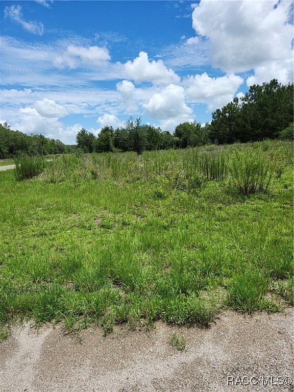 555 E Hope Pl Citrus Springs, FL 34434 - Thumbnail 5