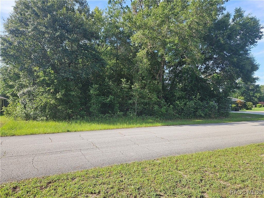 2004 W Rutland Dr Citrus Springs, FL 34434 | Land/Lot