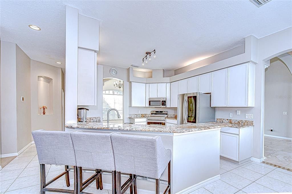 4401 Arranmore Cir Valrico, FL 33596 - Thumbnail 5