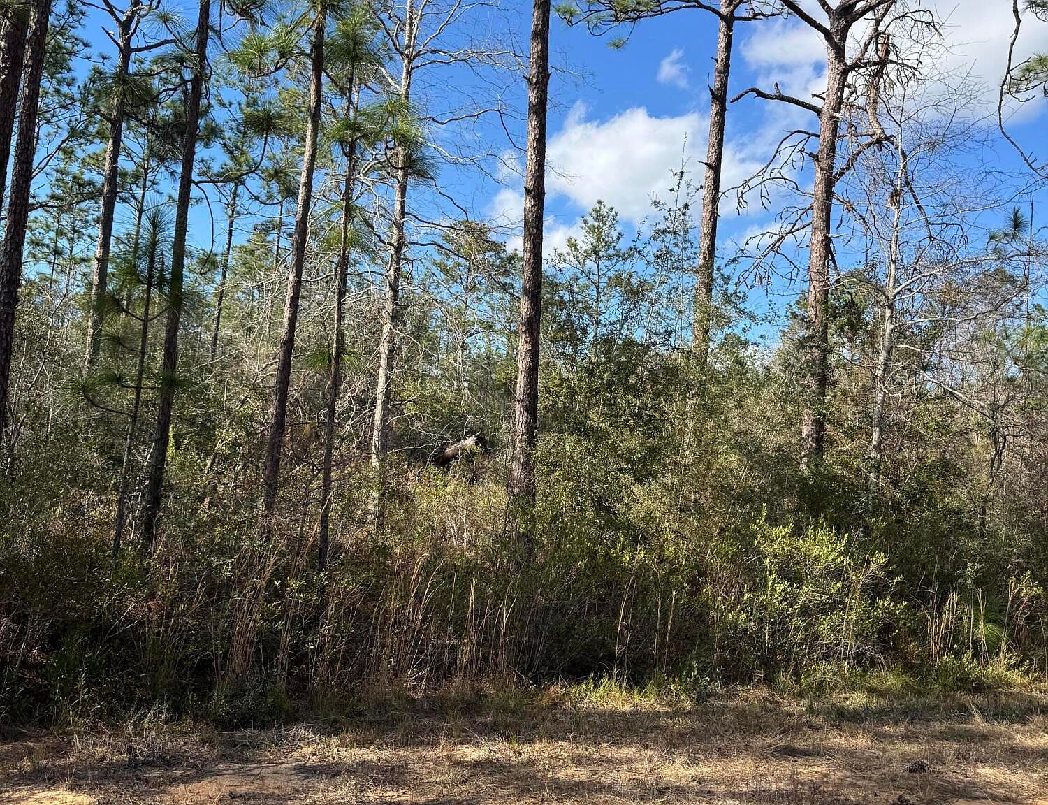 0 Grand Mesa Ave Alford, FL 32420 | Land/Lot