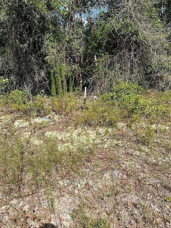 307 Mallard Rd #6 Satsuma, FL 32189 - Thumbnail 5