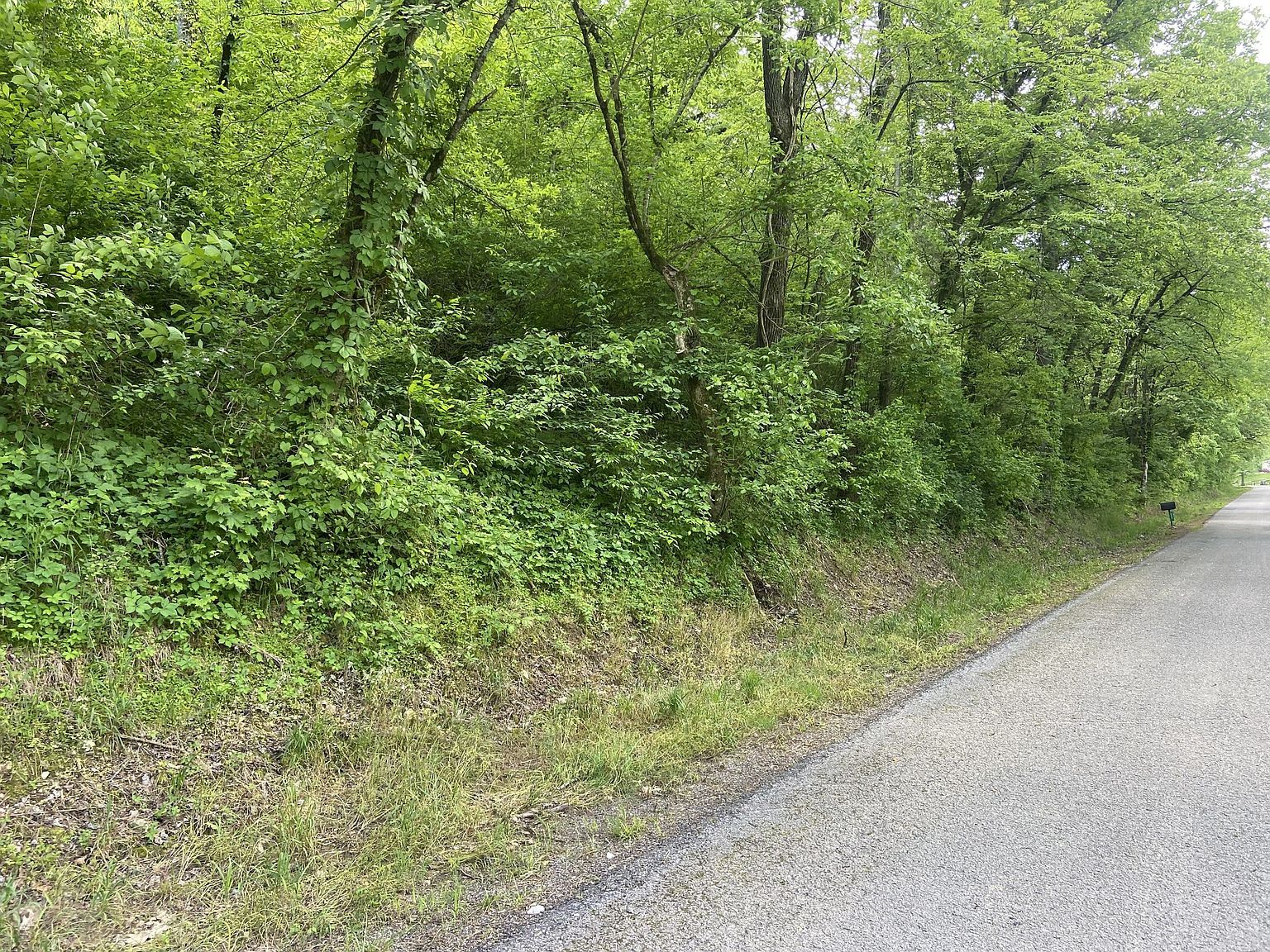 0 Possum Trott Rd Shelbyville, TN 37160 - Thumbnail 5