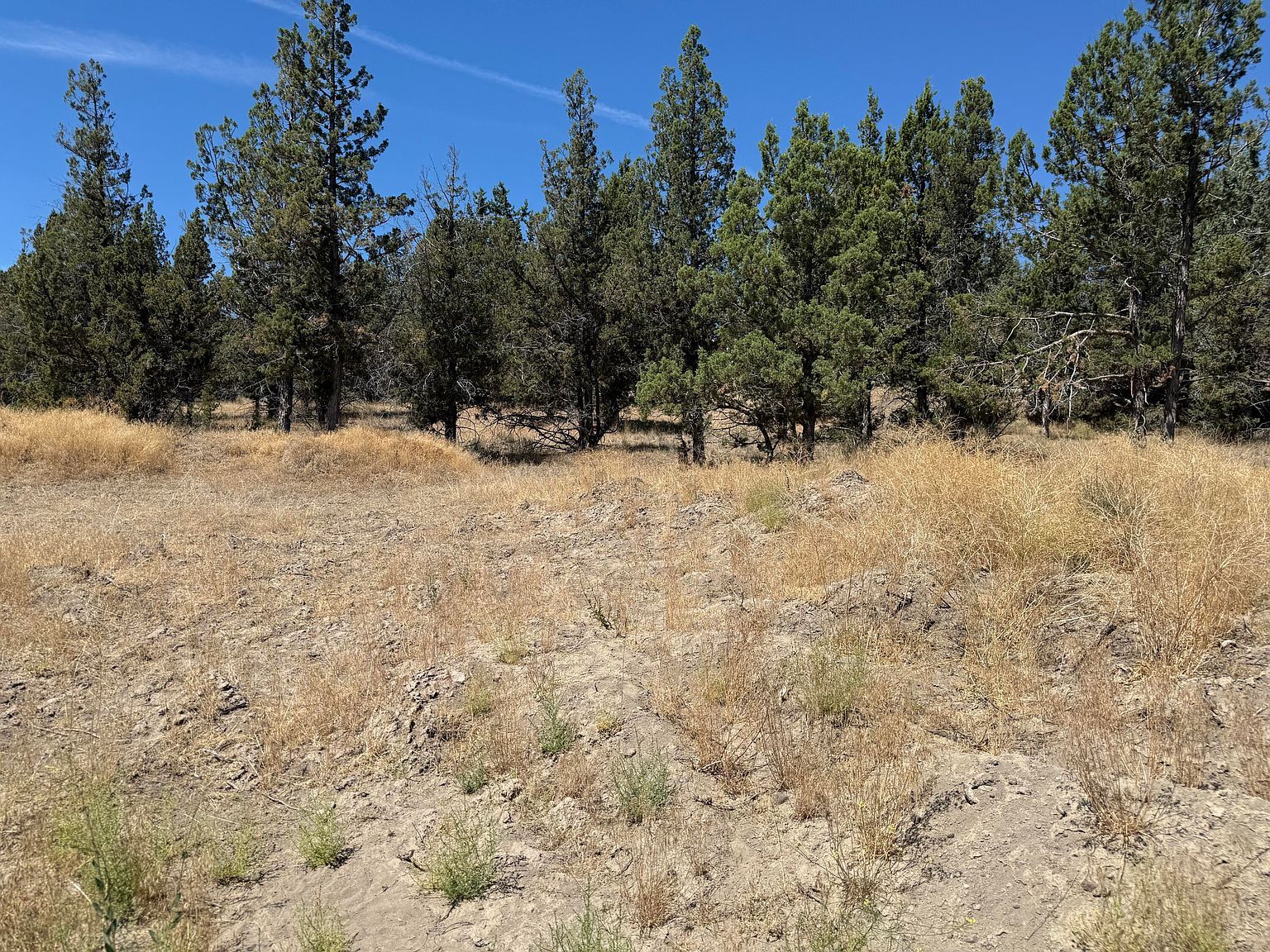 10164 SE Sundown Ln Prineville, OR 97754 - Thumbnail 5