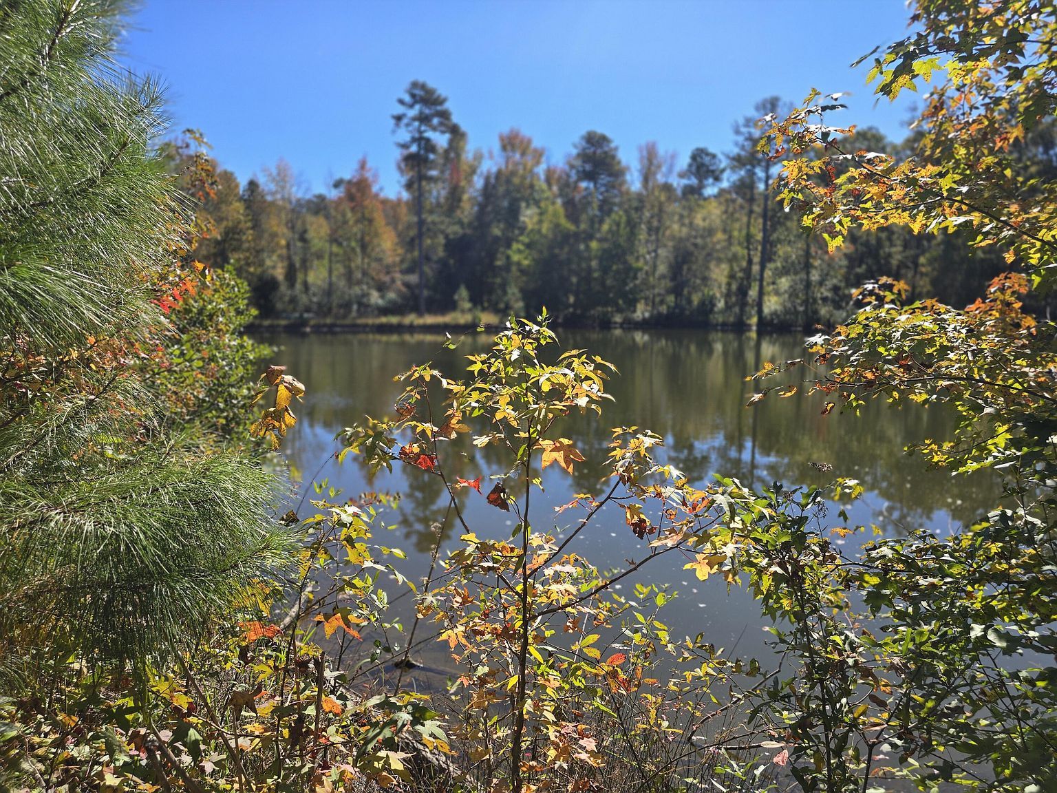 7501 Rainey Morris Rd Appling, GA 30802 - Thumbnail 4