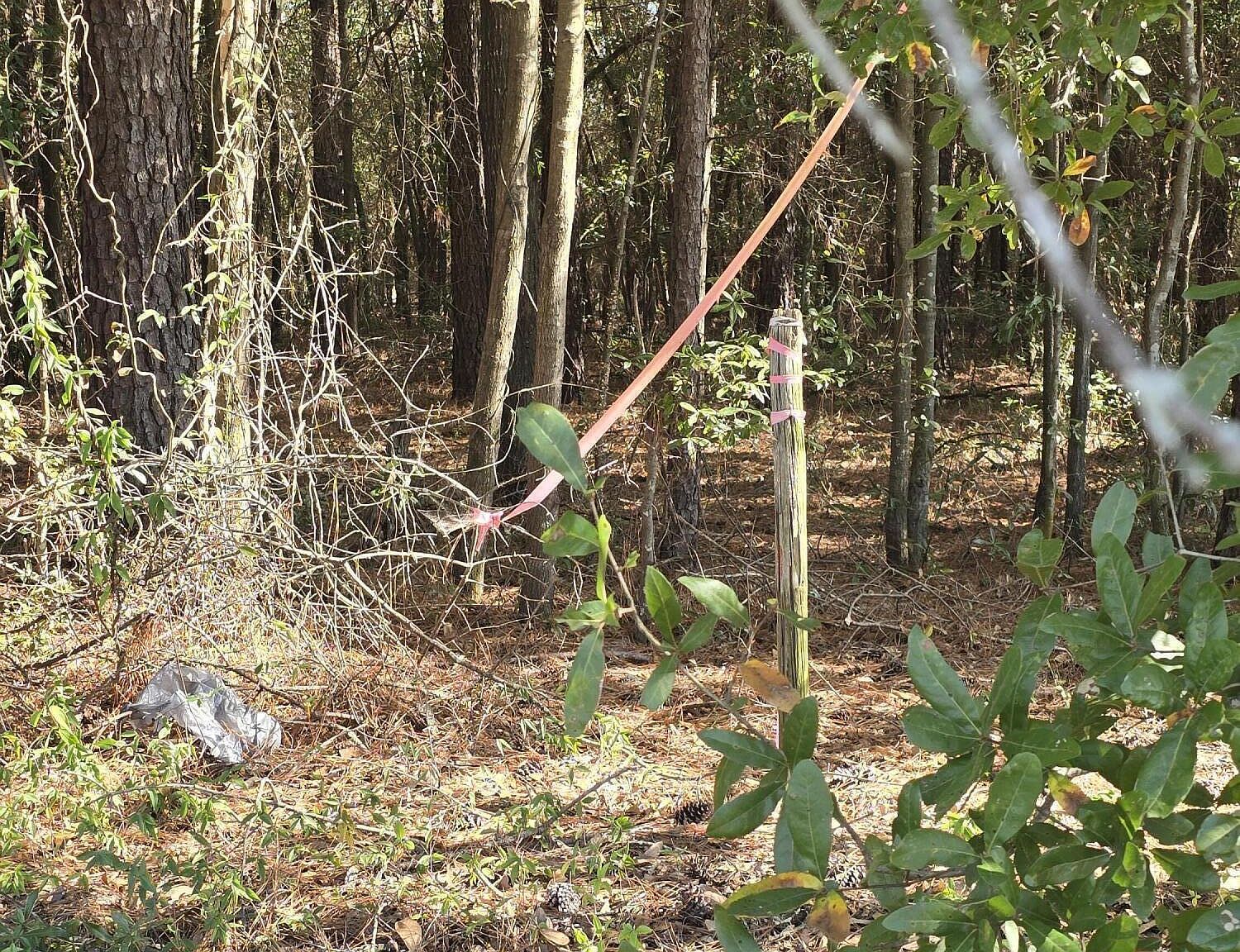 937 Bennock Mill Rd Augusta, GA 30906 - Thumbnail 5