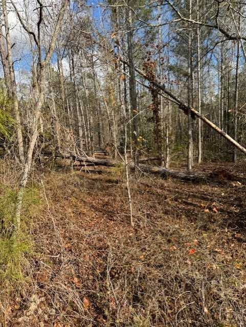 103 Antlers Trail, Hephzibah, GA, USA, 30815 - Thumbnail 5
