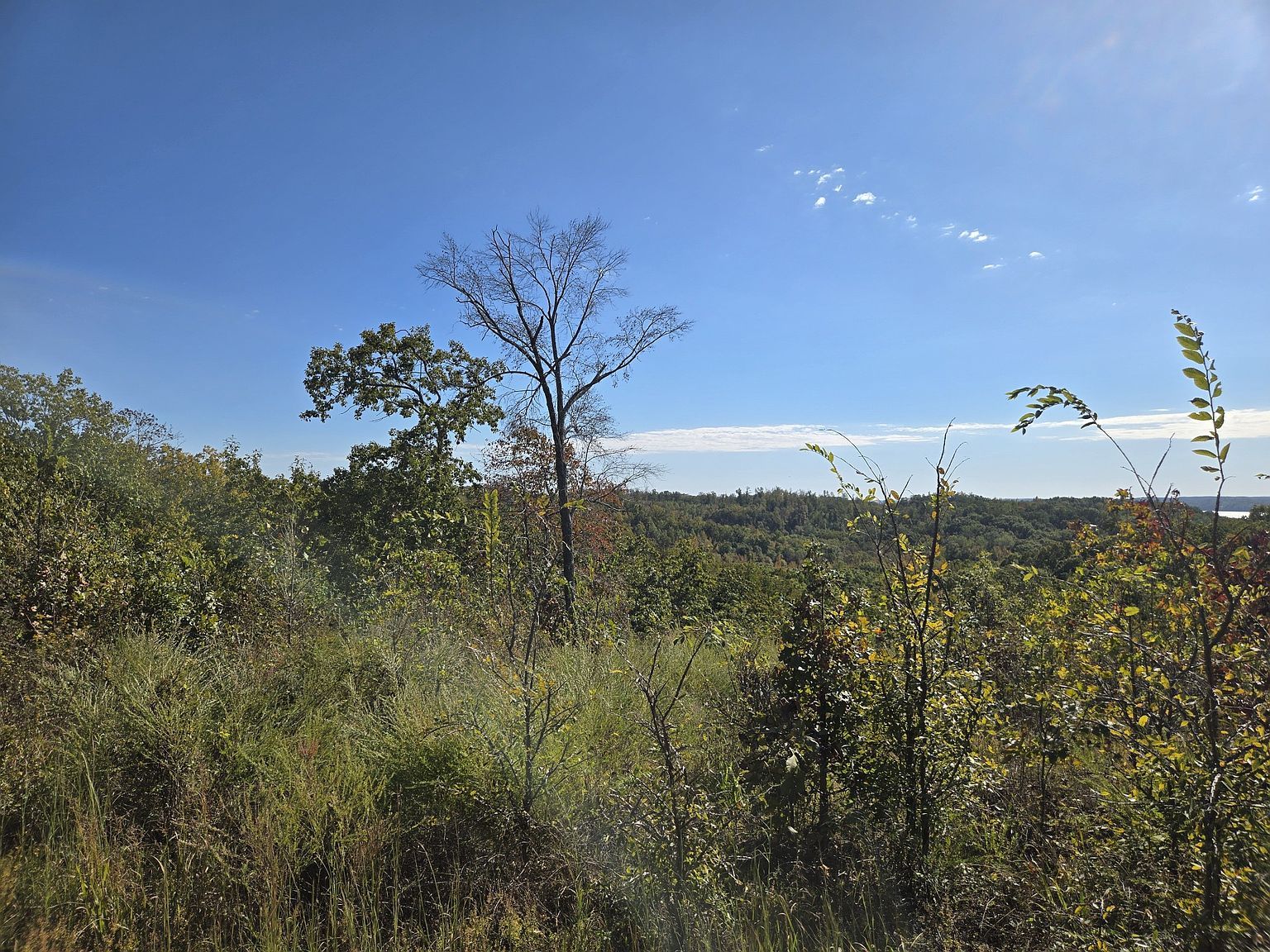 0 Vista Ridge Dr LOT 30 Stewart, TN 37175 - Thumbnail 5