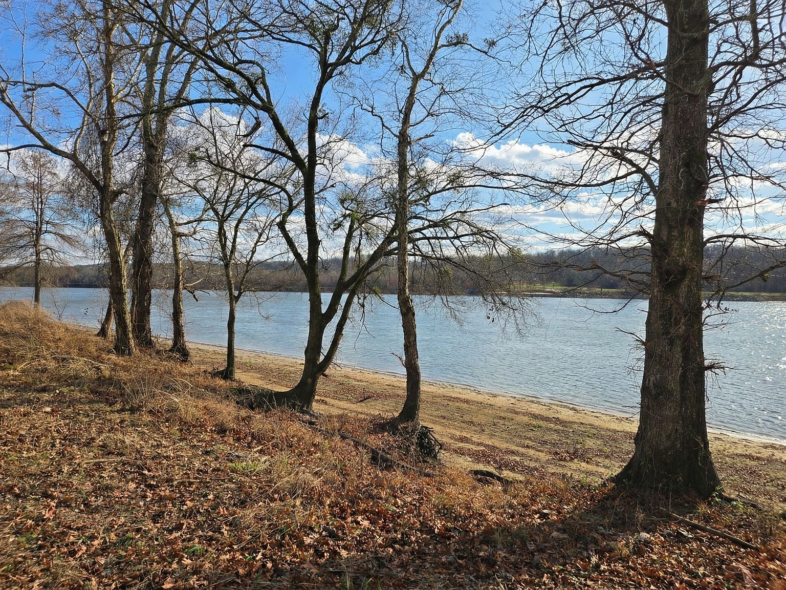 403 Hardin Bottom Rd LOT 148 Clifton, TN 38425 - Thumbnail 5