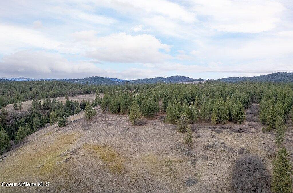 LOT 3C Brimstone Ln Saint Maries, ID 83861 - Thumbnail 5