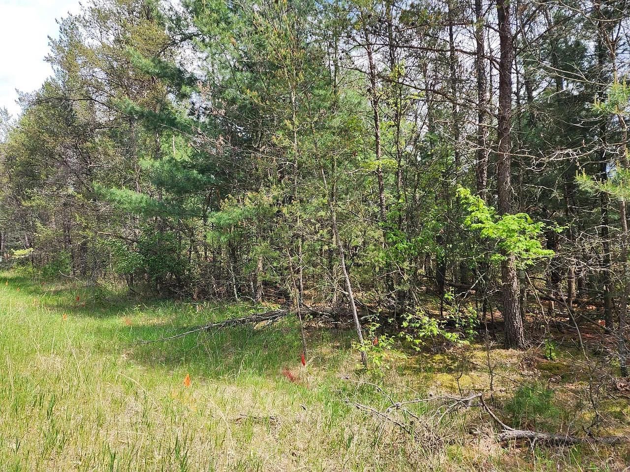 LOT 303 Cypress Dr Arkdale, WI 54613 - Thumbnail 5