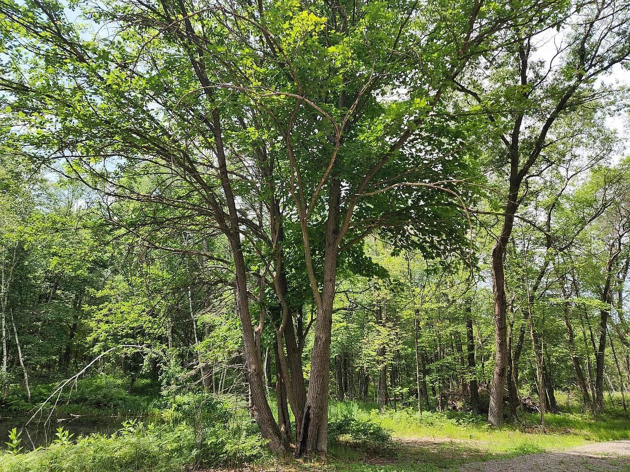 2284 15th Dr Friendship, WI 53934 - Thumbnail 5