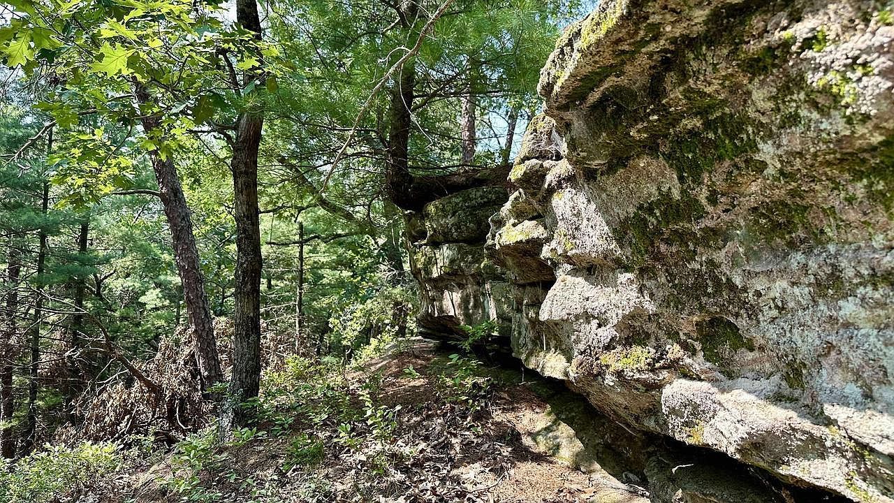 817 Elk Dr Adams, WI 53910 - Thumbnail 5