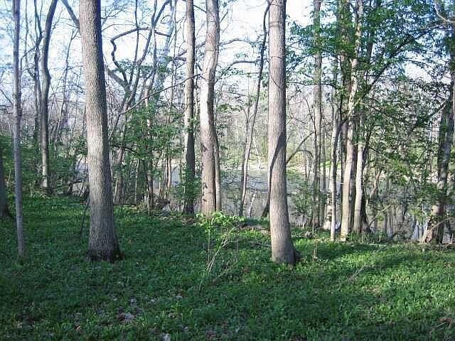 4650 Chatham Ct Dublin, OH 43017 - Thumbnail 5