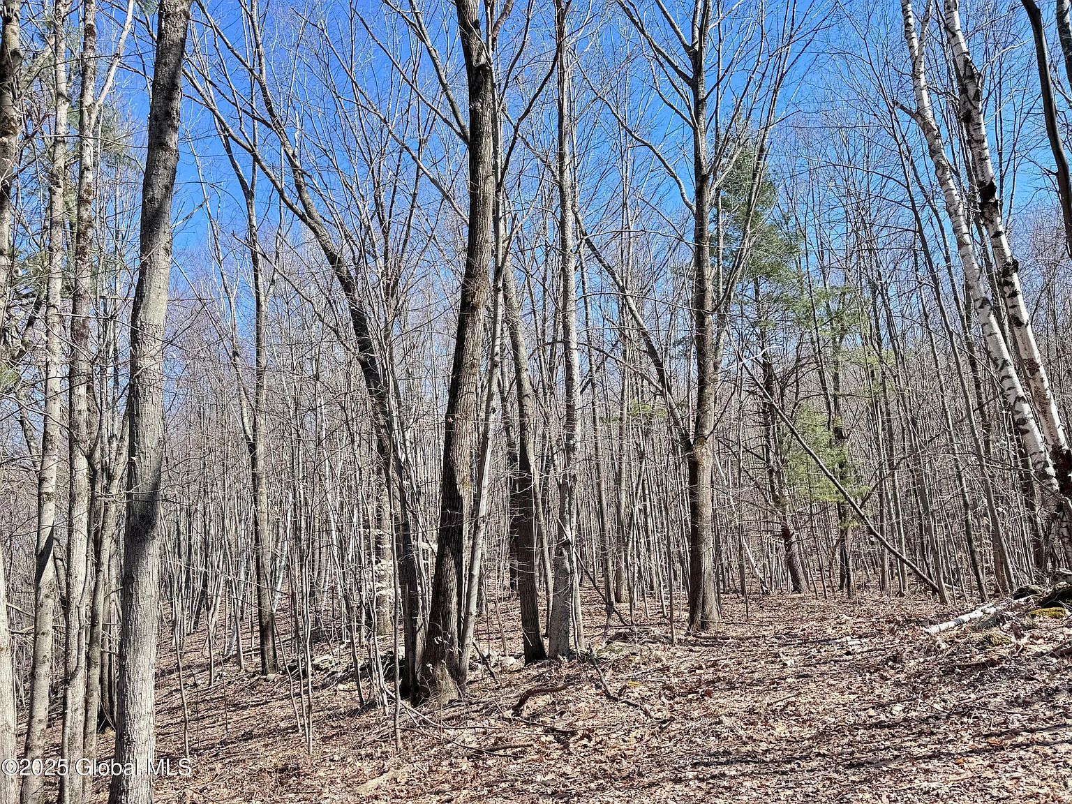 L22 Ryan Rd Greenwich, NY 12834 - Thumbnail 5