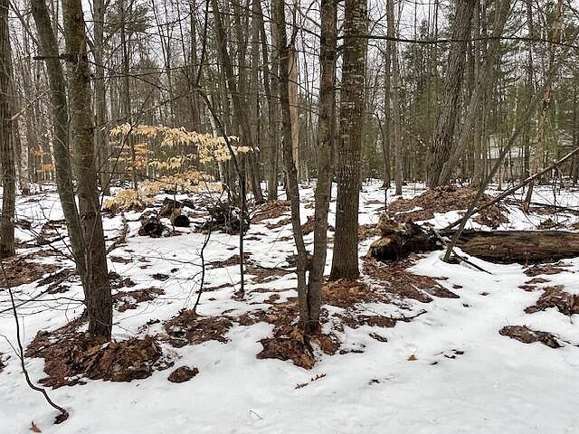 4 S Perch Lake Dr Gaylord, MI 49735 - Thumbnail 5