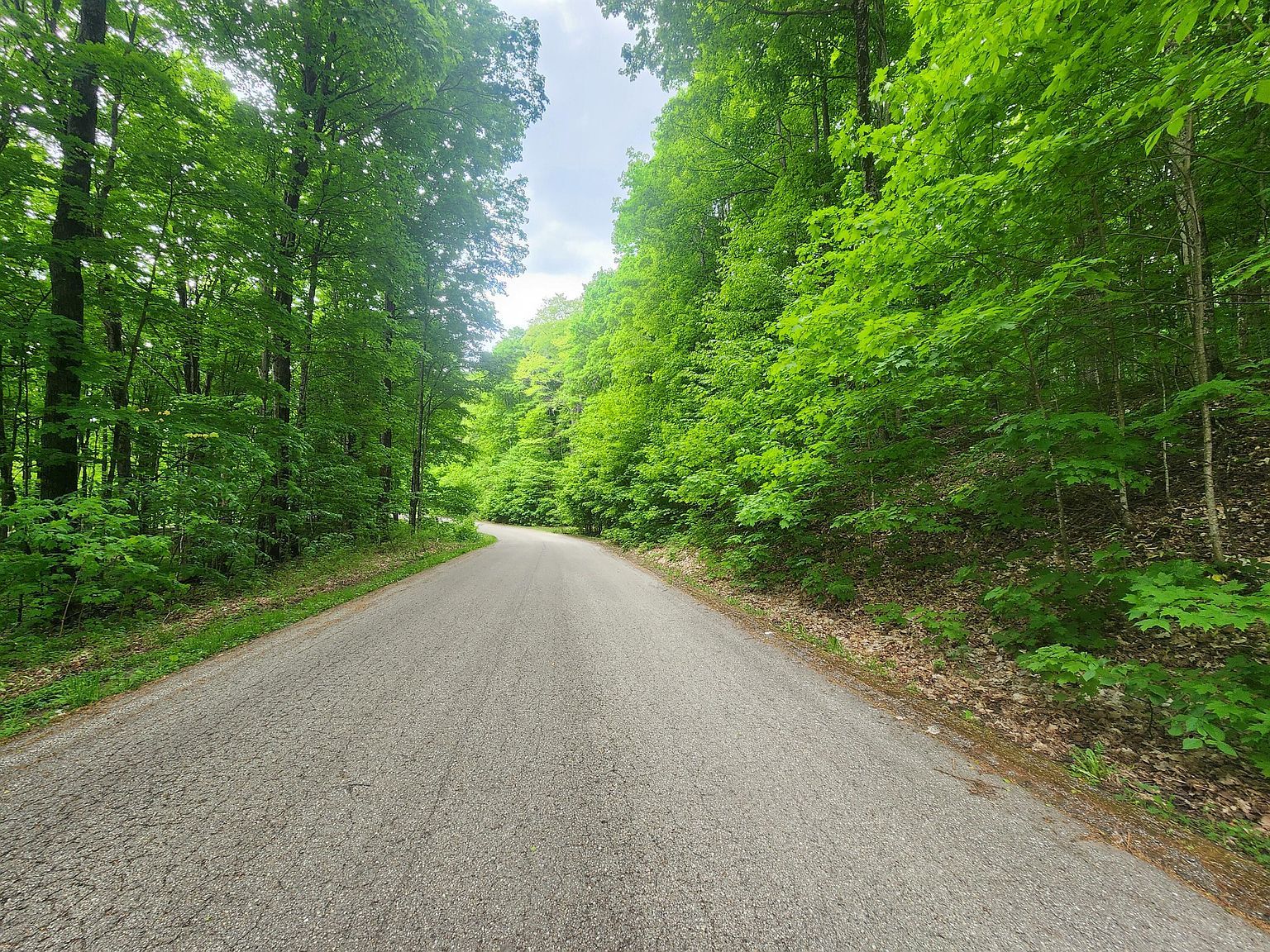 V/l 123ac Hlywa Dr Gaylord, MI 49735 - Thumbnail 5