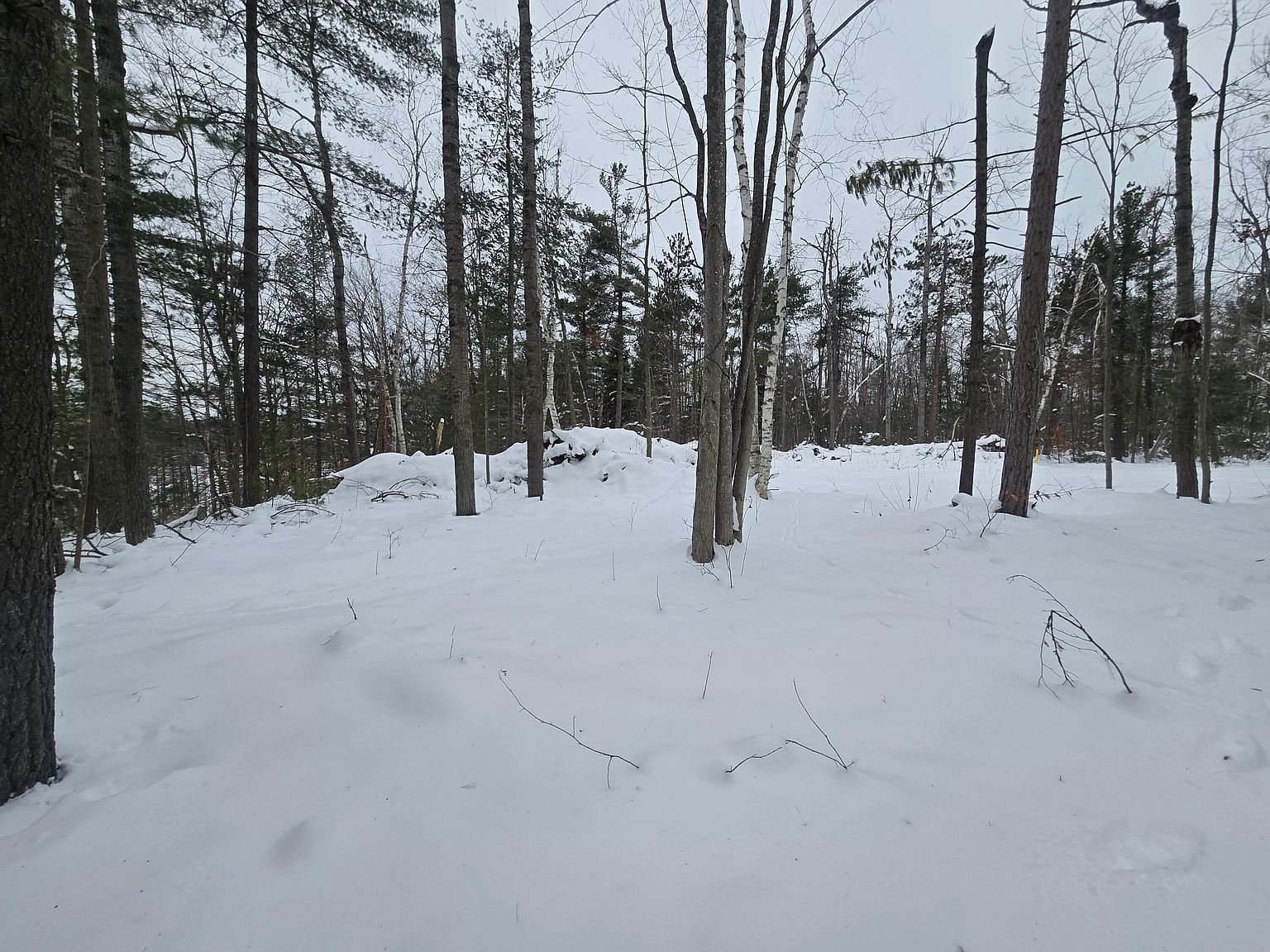 Lots 14 17 Mallard Trl Gaylord, MI 49735 - Thumbnail 5