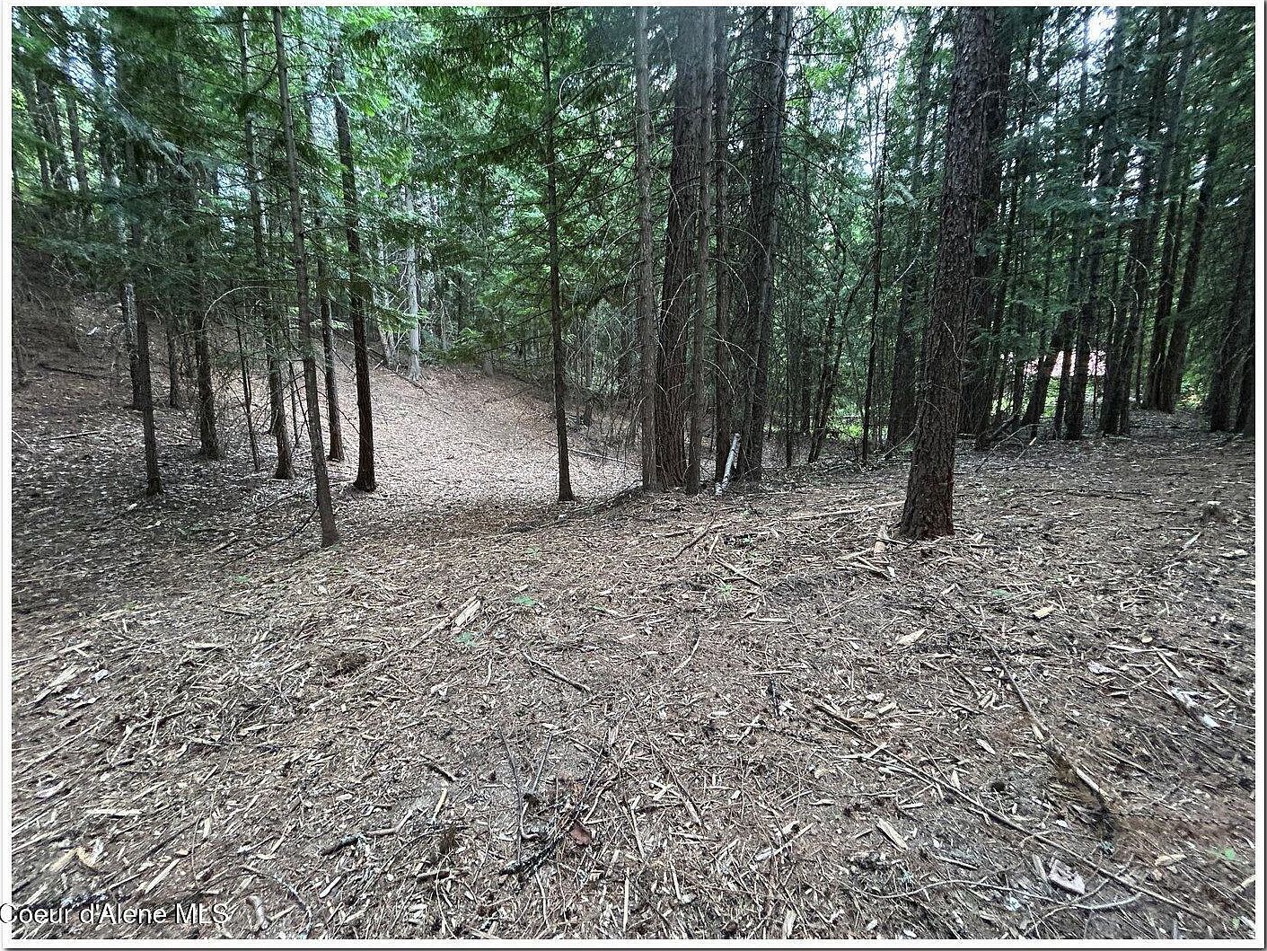 7 Fall Creek Rd #1 Naples, ID 83847 - Thumbnail 5