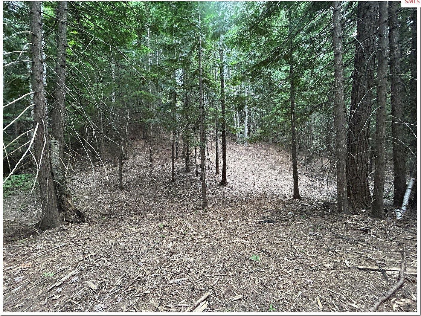 7 Fall Creek Rd Naples, ID 83847 - Thumbnail 5